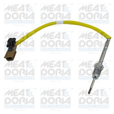 Sensor, exhaust gas temperature